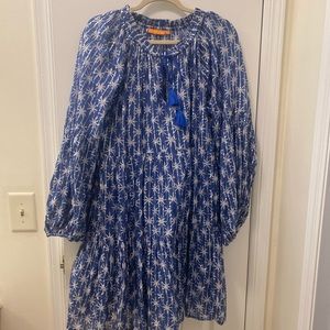 Oliphant blue and silver dress